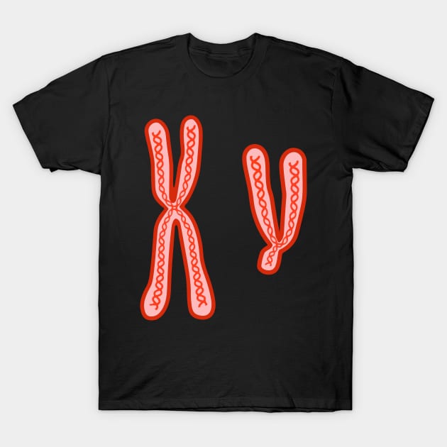 X and Y Chromosomes T-Shirt by labstud